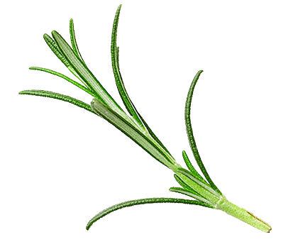 lemongrass