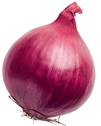 article onion