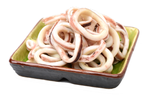 squid