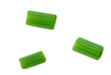 spring onion