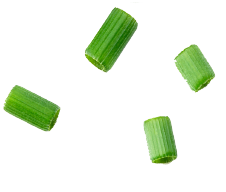 spring onion
