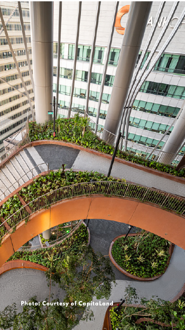 Temasek: Why sustainable solutions are needed for the built environment ...