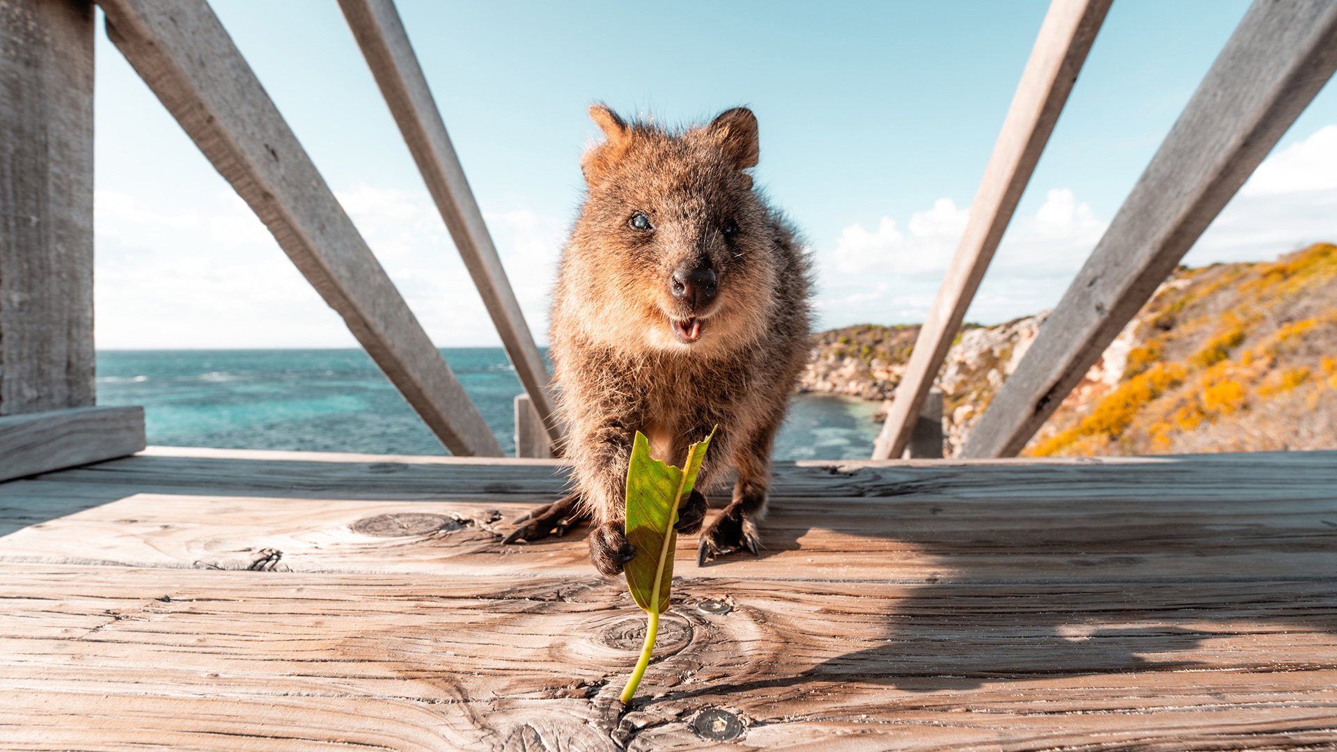 Tourism Western Australia